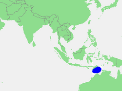 Timor dengizining joylashuvi