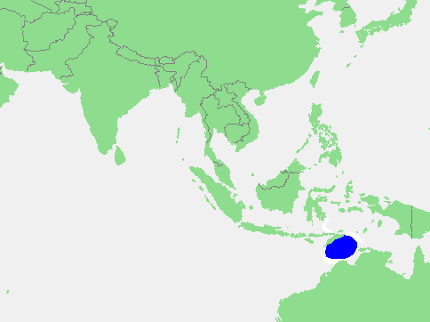 Timor dengizi