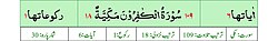Qurʼon nusxalaridan biridagi Kofirun surasi sarlavhasi. Yuqorida oʻngdan: 1. Oyati 6, 2. Markazda qizil rangda sura tartib raqami 109, qora rangda - Kofirun surasi va Makkiy, qizil rangda nozil boʻlgan tartibi - 18, 3. Rukuʼsi soni - 1; Pastda oʻngdan: 1. Sura:Makkiy, 2. Tilovat tartibi:109, 3. Nozil boʻlish tartibi:18, 4. Rukuʼsi:1, 5. Oyati:6, 6. Porasi (Juzi):30 deb koʻrsatilgan.