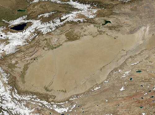 Tarim tekisligi