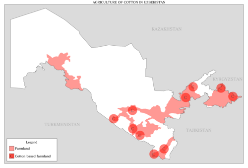 o'zbekistondagi paxta o'sadigan yerlar