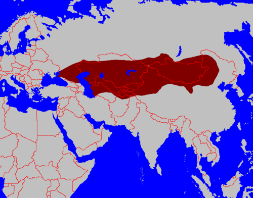 Turk xoqonligi