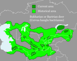Xongullar tarqalish hududi (toʻq yashil — tarixiy tarqalish hududi, och yashil zamonaviy tarqalish hududi)