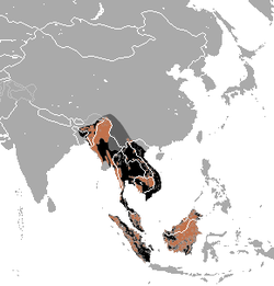 malay ayigʻining tarqalish hududi (2010) Hozirda mavjud Avval yashagan Mavjudligi taxmin qilinadi