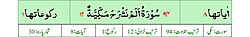 Qurʼon nusxalaridan biridagi Sharh surasi sarlavhasi. Yuqorida oʻngdan: 1. Oyati 8, 2. Markazda qizil rangda sura tartib raqami 94, qora rangda - suraning ikkinchi nomi - Nashroh surasi va Makkiy, qizil rangda nozil boʻlgan tartibi - 12, 3. Rukuʼsi soni - 1; Pastda oʻngdan: 1. Sura:Makkiy, 2. Tilovat tartibi:94, 3. Nozil boʻlish tartibi:12, 4. Rukuʼsi:1, 5. Oyati:8, 6. Porasi (Juzi):30 deb koʻrsatilgan.