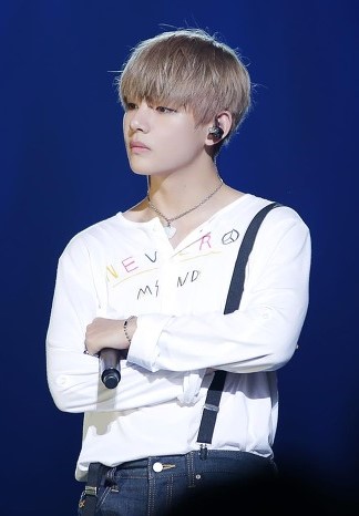 V (qo'shiqchi)