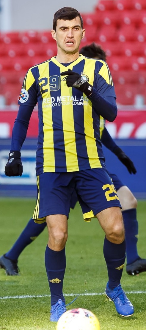 Vladimir Kozak