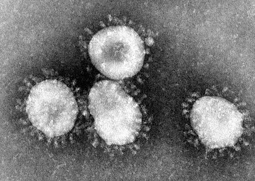 Koronavirus